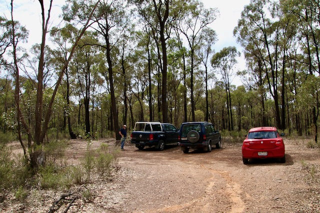 20200224_pho_Mt Black 17